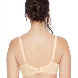Enamor Padded Detachable Bra- F065 - HARSHU FASHION