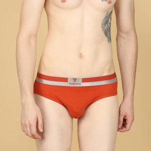 Van Heusen Men Brief Platinum-20002 - HARSHU FASHION