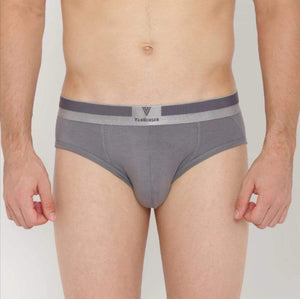 Van Heusen Men Brief Platinum-20002 - HARSHU FASHION